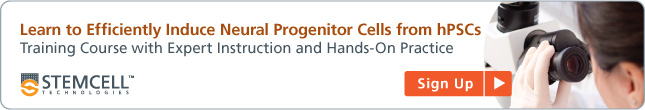 Learn to Efficiently Induce Neural Progenitor Cells for Human ES cells and iPS cells 
