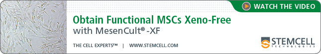 Watch the Video: Obtain Functional MSCs Xeno-Free with MesenCult-XF