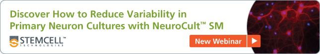 [New Webinar] Discover How to Reduce Variability in Primary Neuron Cultures with NeuroCult SM