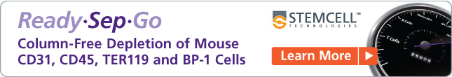 ON158-MammaryStemCells_19758_645x110_V1