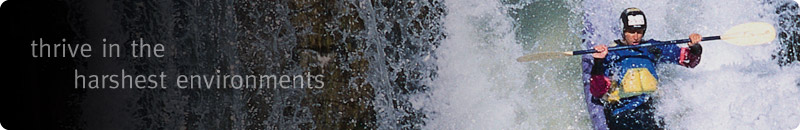 thrive-headers-eloqua