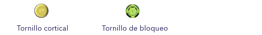 Tornillo cortical y de bloqueo