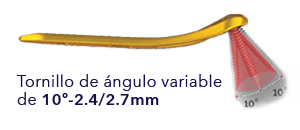 Tornillo de ángulo variable