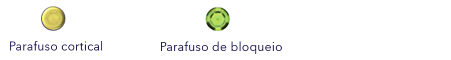 Parafuso cortical e de bloqueio