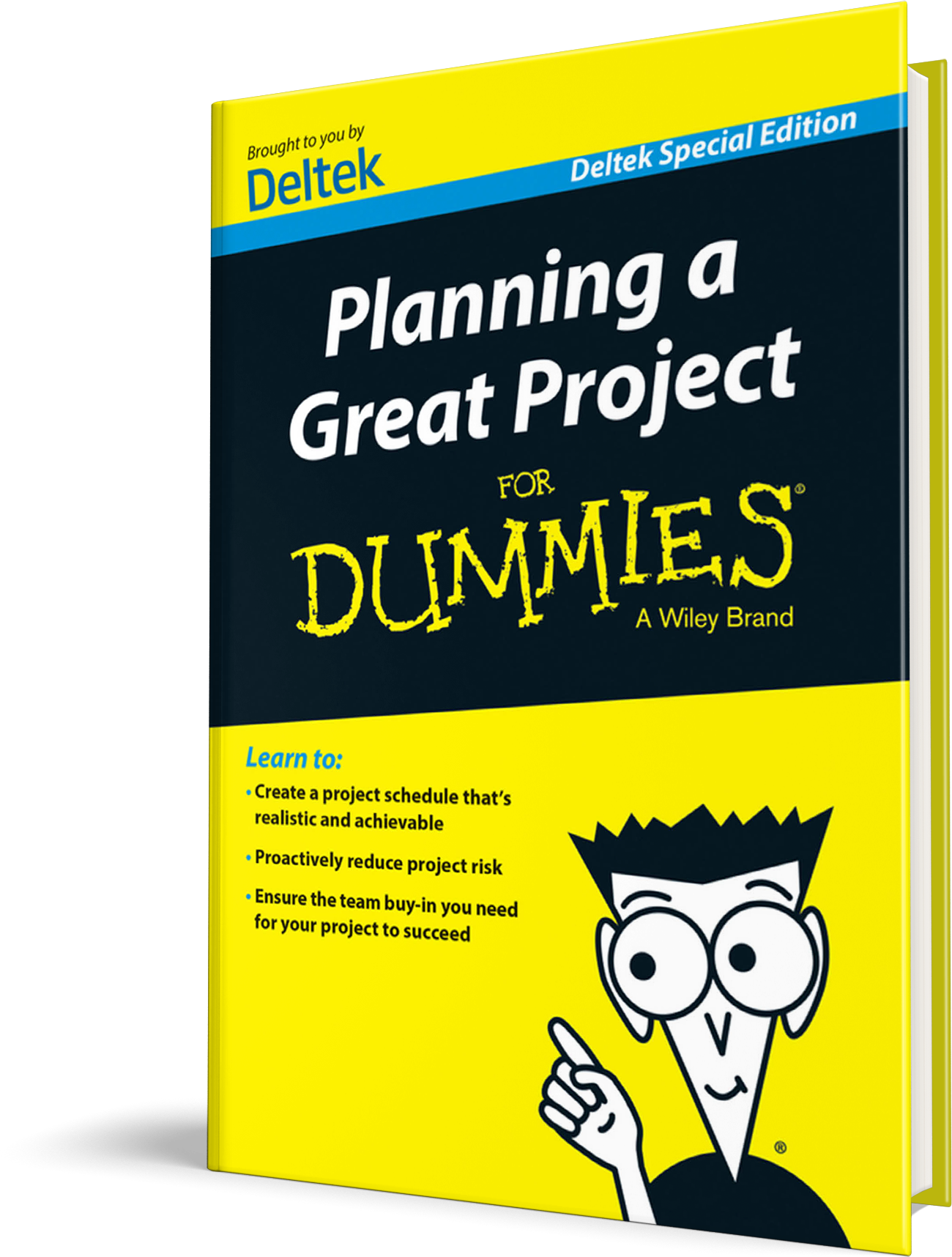 Planning a Great Project For Dummies
