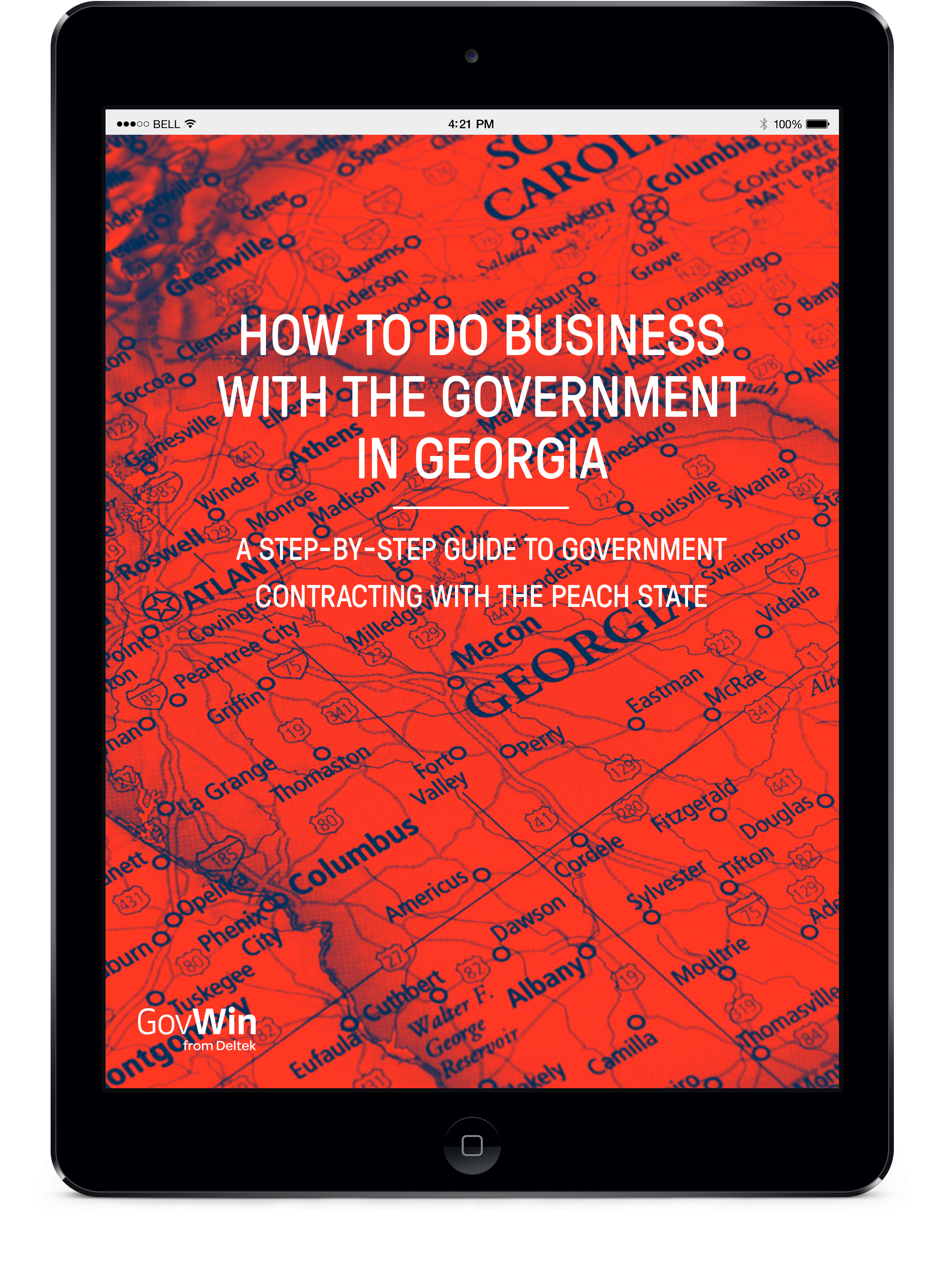How to do Business with the Government in Georgia