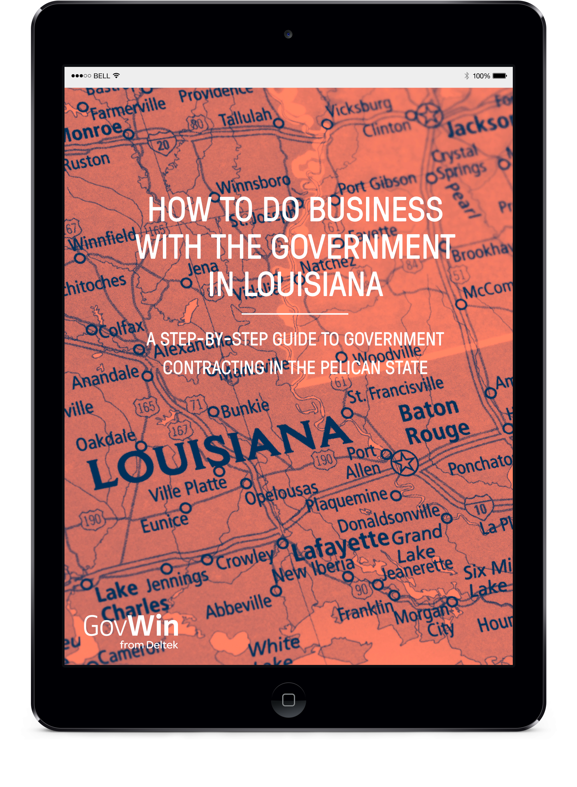 How to do Business with the Government in Louisiana
