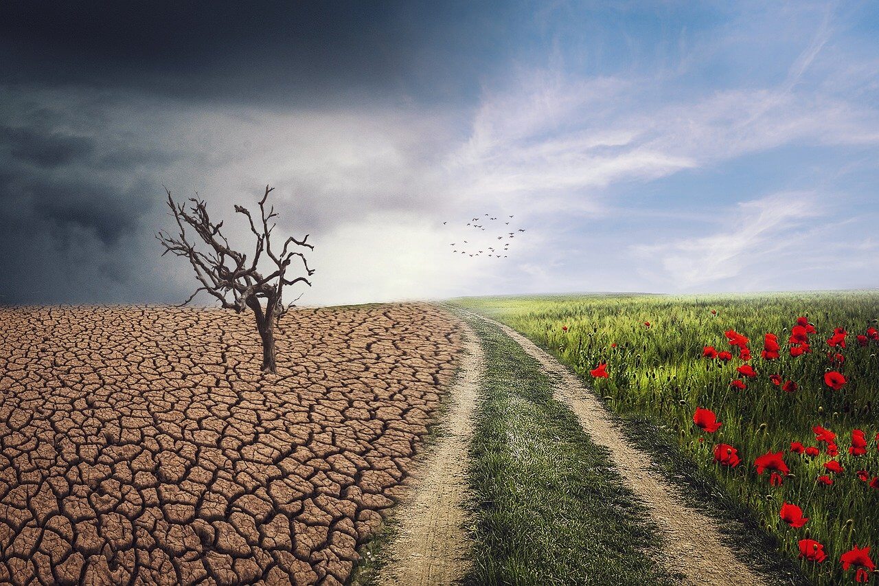 The Science of Embedding Resilience in Marketing and Sales Plans