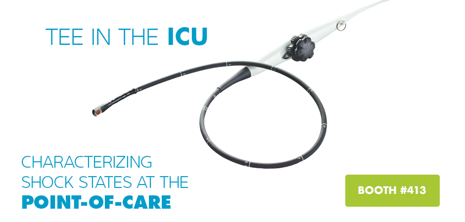 TEE IN THE ICU