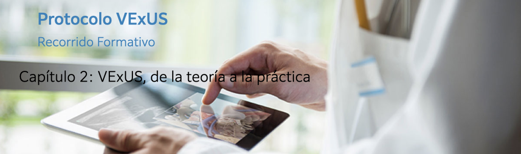 Image of physician placing an ultrasound-guided IV with text introducing a webinar on the topic for Emergency Nurses
