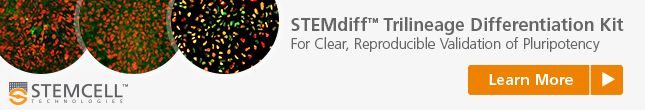 Directed Differentiation Kit for Clear, Reproducible Validation of Pluripotency: STEMdiff Trilineage Kit