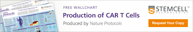 Wallchart on the manufacturing of chimeric antigen receptor T cells for cancer immunotherapy