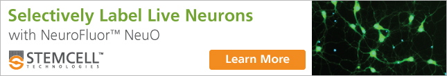 Selectively Label Live Neurons with NeuroFluor™ NeuO. Learn More.