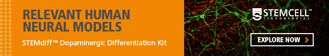 Create Relevant Human Neural Models with STEMDiff Dopaminergic Differentiation Kit. Explore now!
