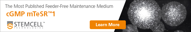 cGMP mTeSR1 Banner Ad. CTA Learn More.