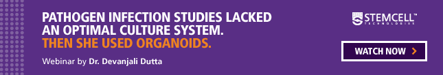 Pathogen infection studies lacked an optimal culture system. Then she used organoids.