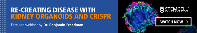 Watch the Webinar On-Demand: “Re-Creating Disease with Kidney Organoids and CRISPR-Cas9”