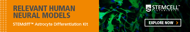 Create Relevant Human Neural Models with STEMDiff Astrocyte Differentiation Kit. Explore now!