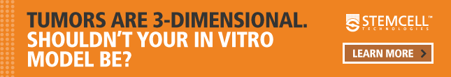 Tumors Are 3D. Shouldn't Your In Vitro Model Be? Learn More.