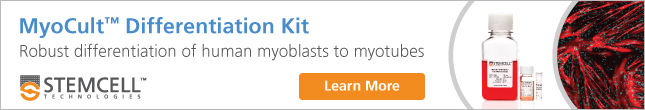 Use MyoCult™ Differentiation Kit to Generate Myotubes from Human Skeletal Muscle Progenitor Cells (Myoblasts). Learn More.